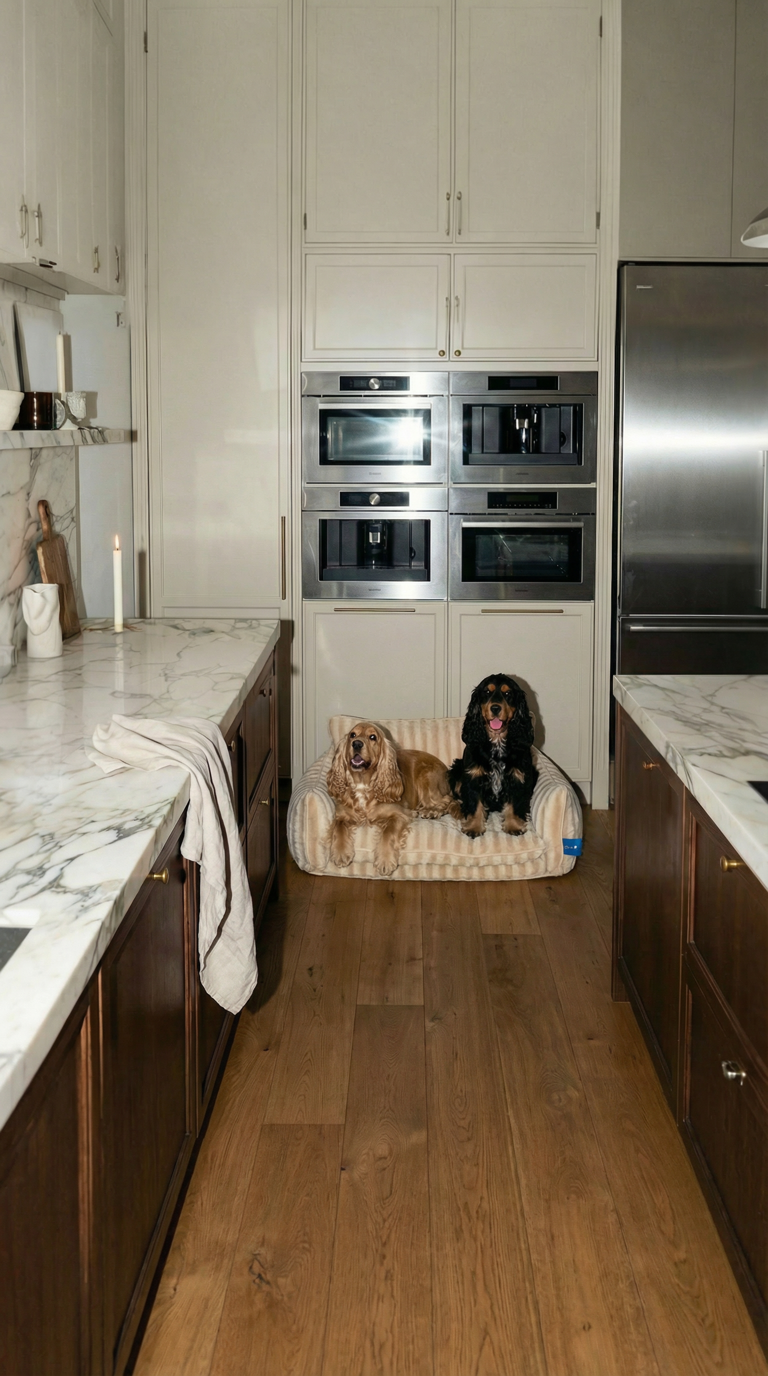 kive-image-1764453452774